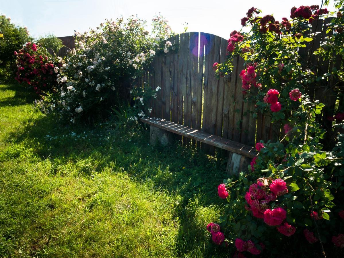 Vesela Sadyba Veselivka Exterior foto