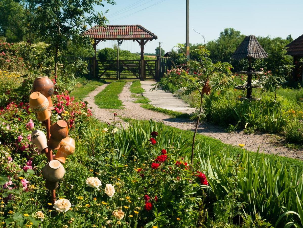 Vesela Sadyba Veselivka Exterior foto