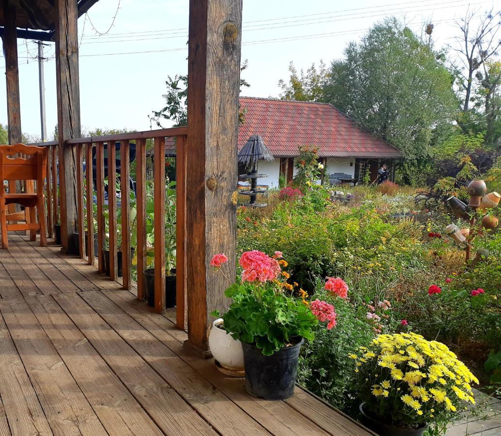 Vesela Sadyba Veselivka Exterior foto